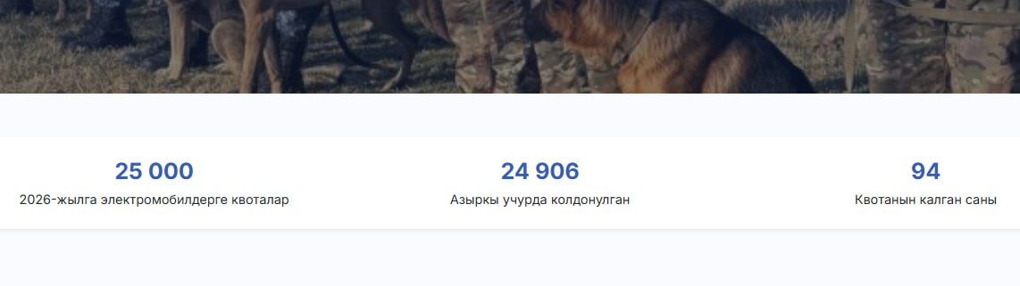 Кыргызстанда электромобилдерди бажы төлөмүсүз алып кирүүгө бөлүнгөн квота түгөнүп баратат