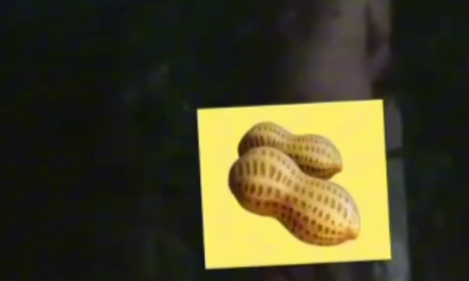 «Башында ойлонуш керек эле да». Өзгөндө бычылганы айтылган кишинин видеосу тарады