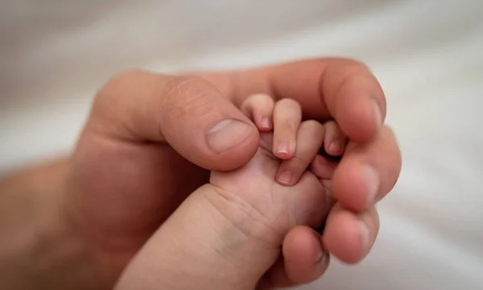 Дүйнөлүк тукум улоо кризиси – БУУ тынчсыздануусун билдирди