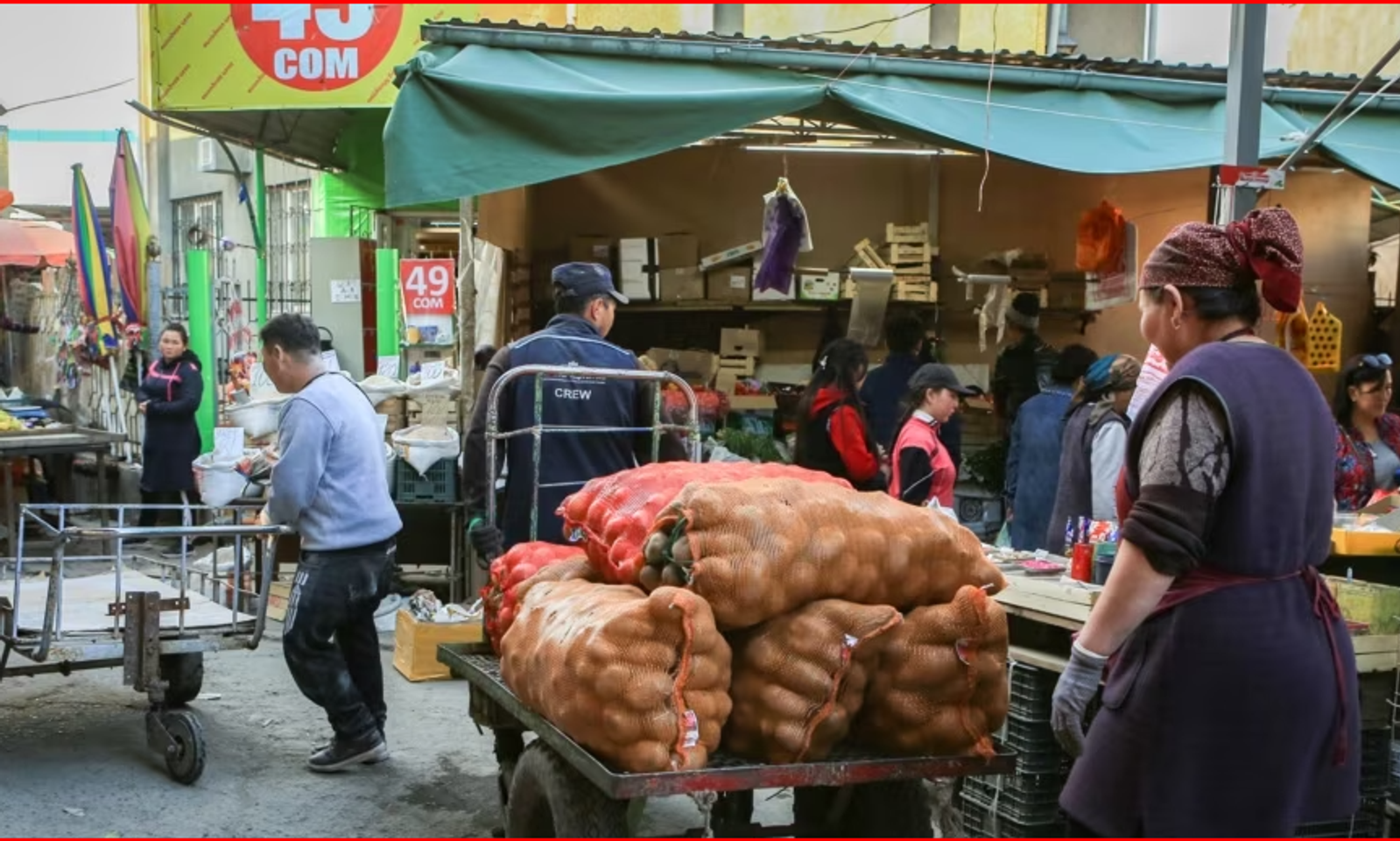 Соода менен алектенгендерди текшерүүгө жарым жылга мораторий кирди
