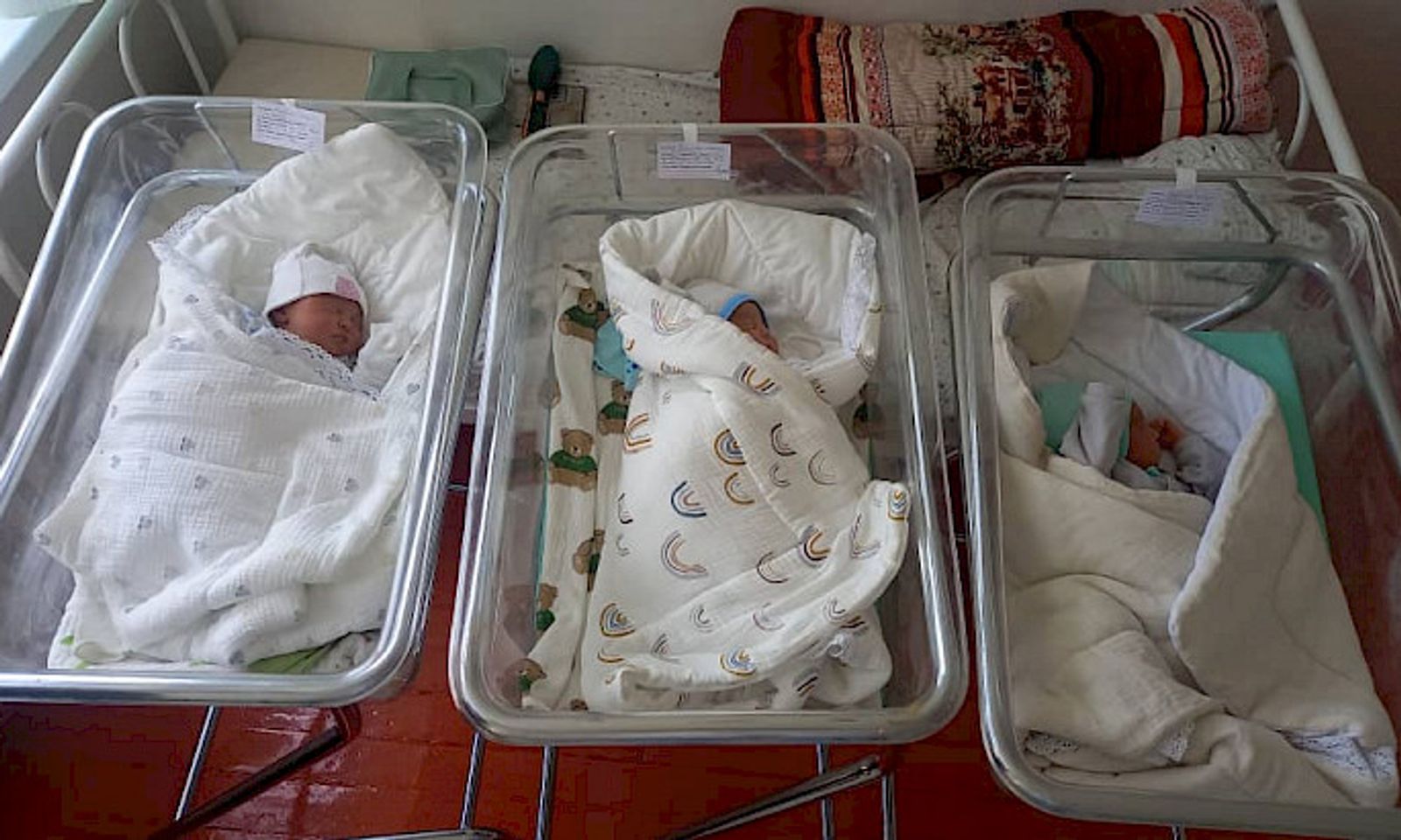 Үчөө тең уул. Бишкекте үч эм төрөлдү