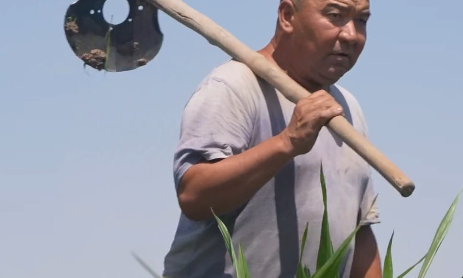 Чүй: какшыган талаа, муңайган дыйкан