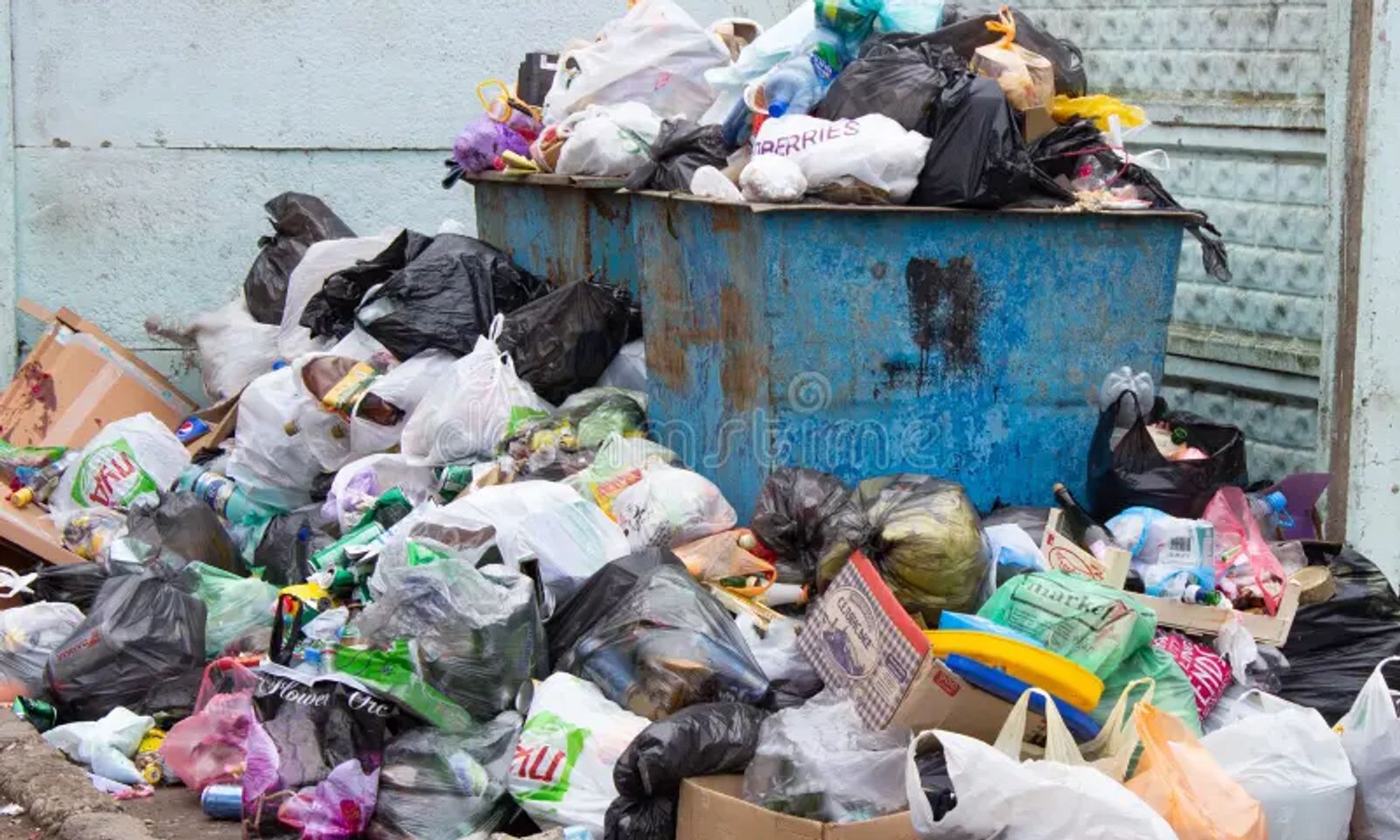 Кошунасынын денесин жиликтеп, таштандыга таштап коюшкан