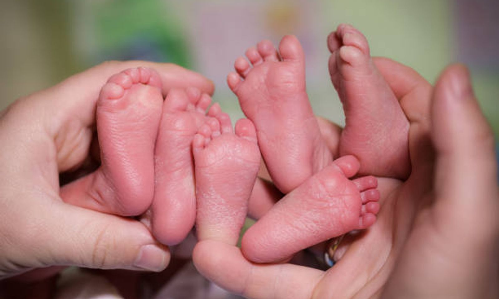 Сүйүнчү! Бишкекте үч эм төрөлдү