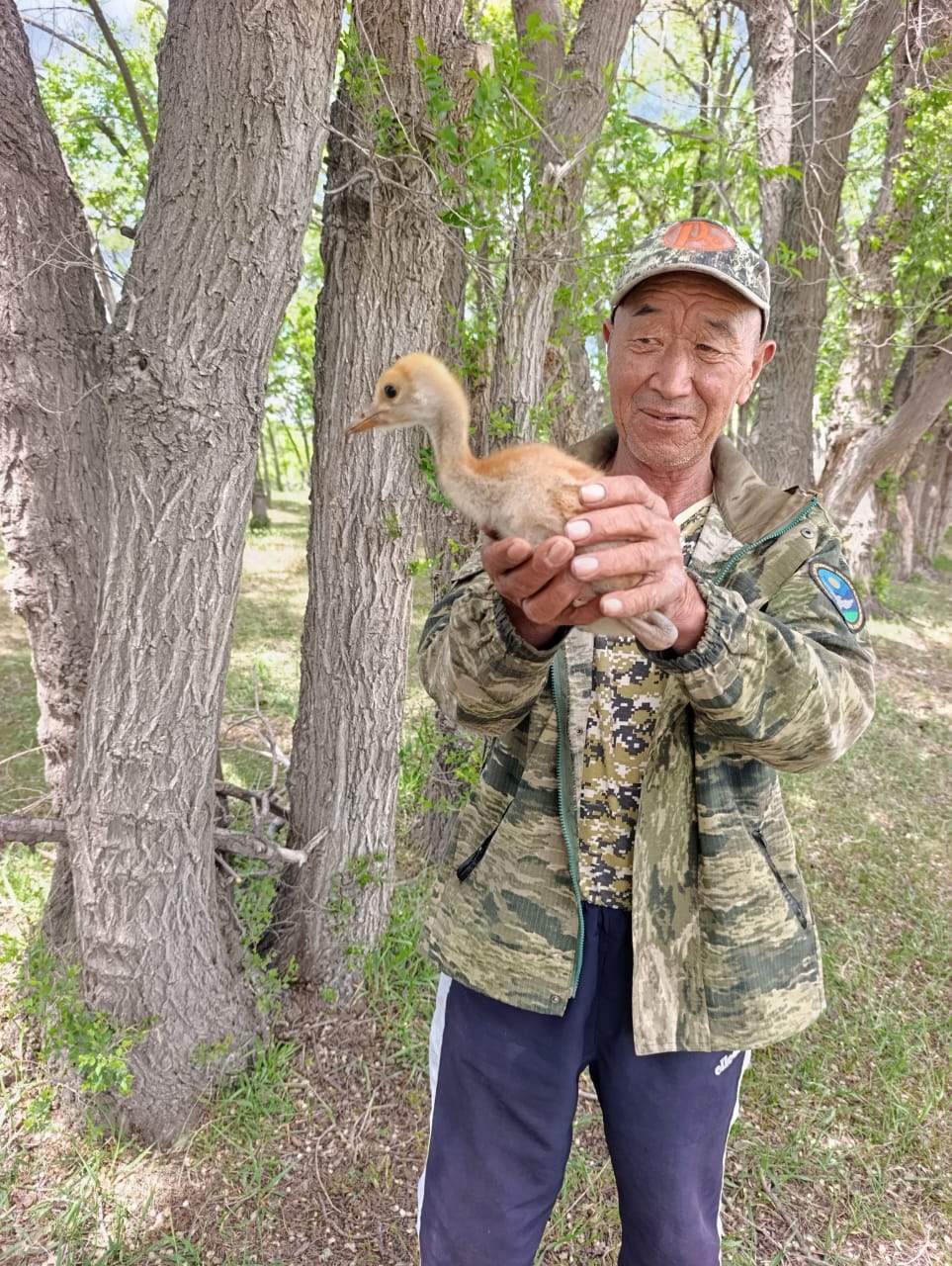 68 жылдан кийин Кыргызстанда катардагы турнанын уя салганы катталды
