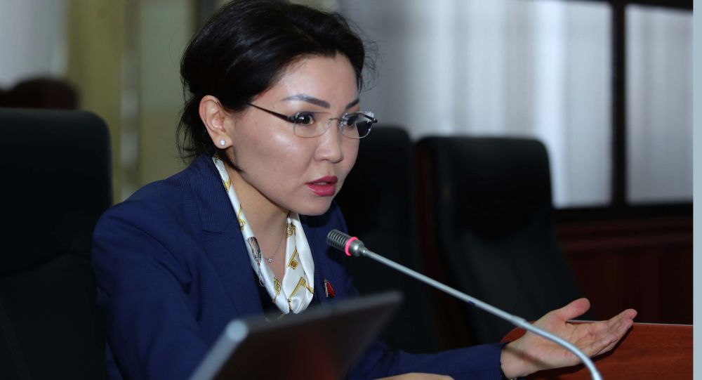 Эльвира Сурабалдиева:»Мамлекет жабырлануучуларга караганда кылмышкерлерге боор тартып жаткандай туюлат.»