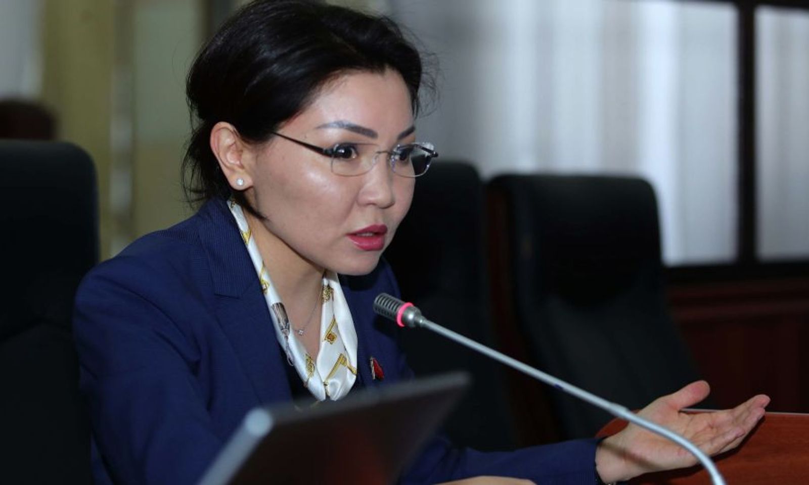 Эльвира Сурабалдиева:»Мамлекет жабырлануучуларга караганда кылмышкерлерге боор тартып жаткандай туюлат.»