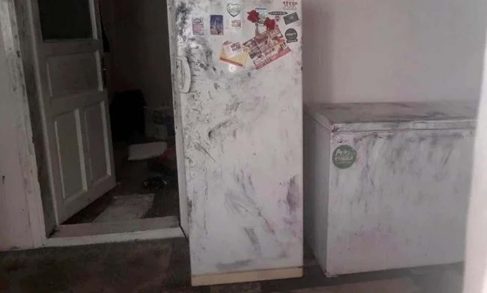 3 аял 1 эркек. Түркияда 4 адамдын кесилген денелери муздаткычтан табылды