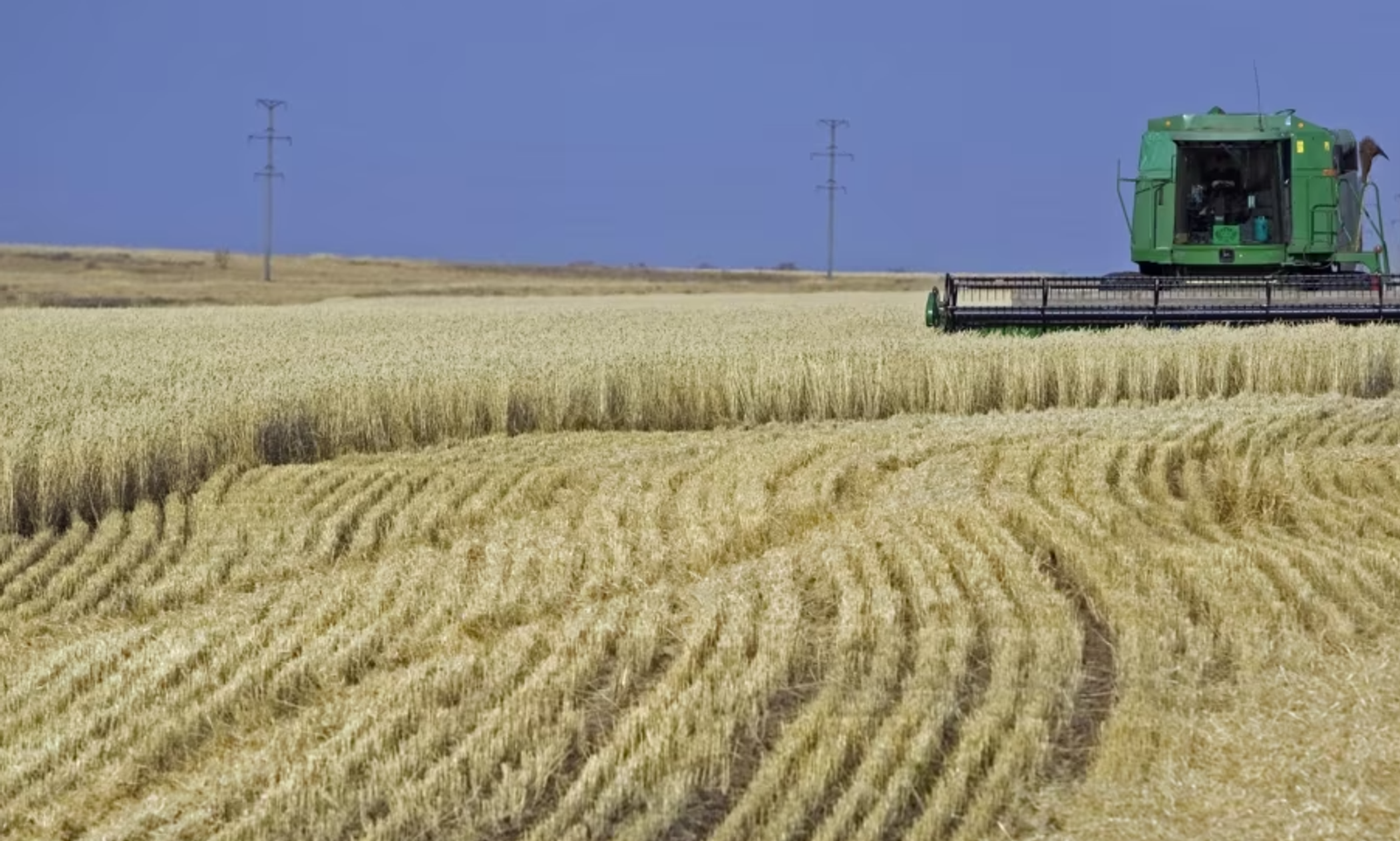 Казакстан буудай ташууга салынган чектөөнү дагы алты айга узартты