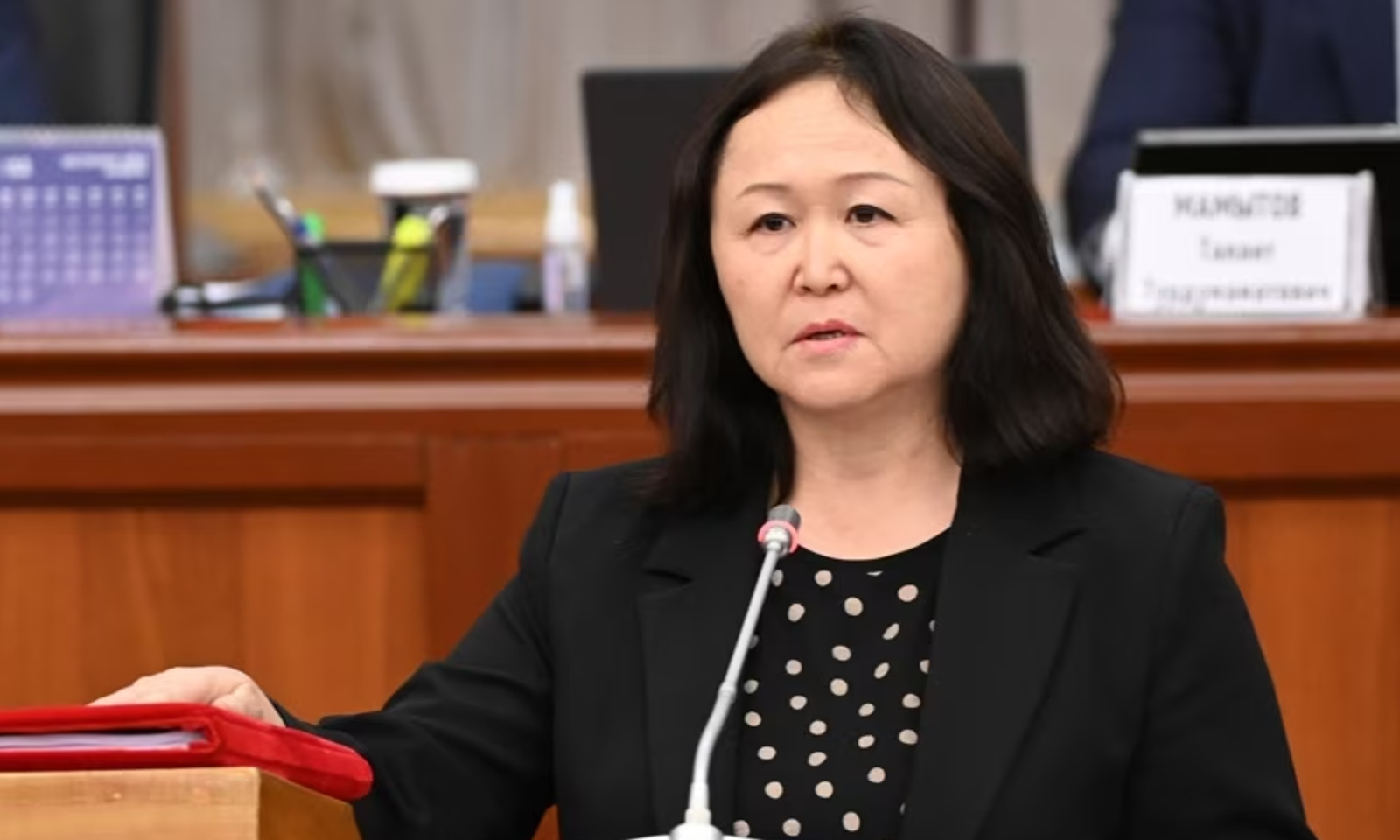 Динара Кутманова Камчыбек Ташиевдин дооматтарын четке какты