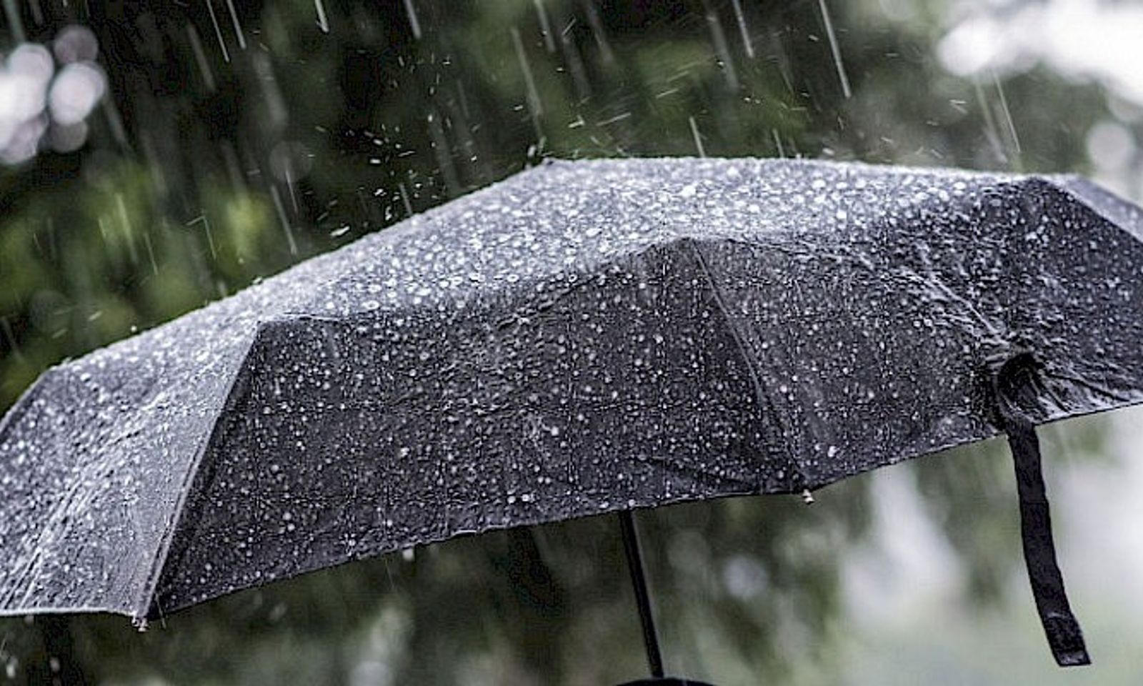 Шашылыш билдирүү! Өлкөдө жаан жаап, толуу аймактарда карга айланат