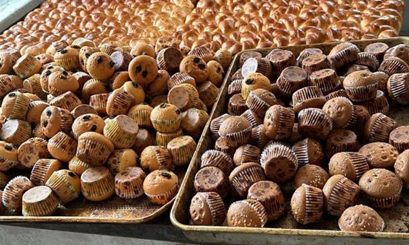 Нан болсо — ыр да болот: “Адис нан” ишканасы жумуш орундарын кеңейтүүдө