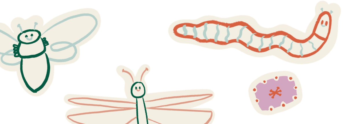 Illustrated Photo Album gallery image