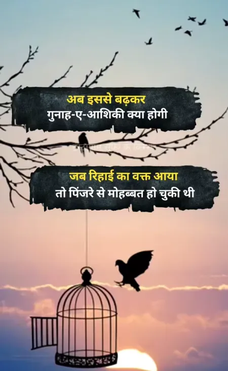 Love Shayari in image