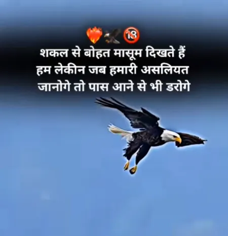 Motivational Quotes Shayari in image