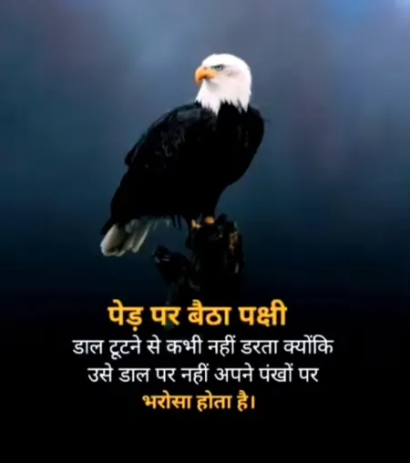 Motivational Quotes Shayari in image