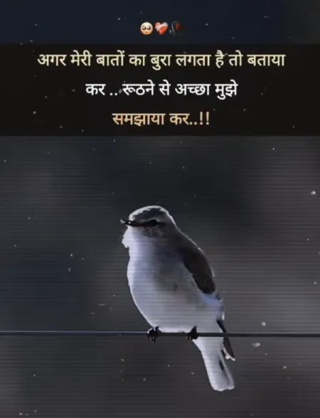 Love Shayari in image