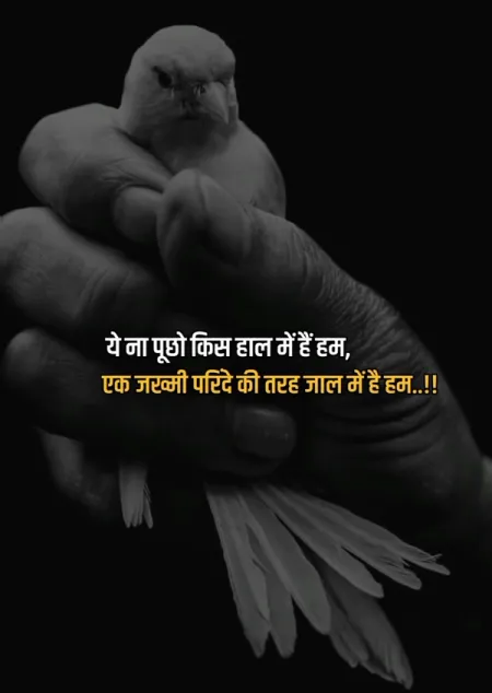 Alone Sad Shayari in image