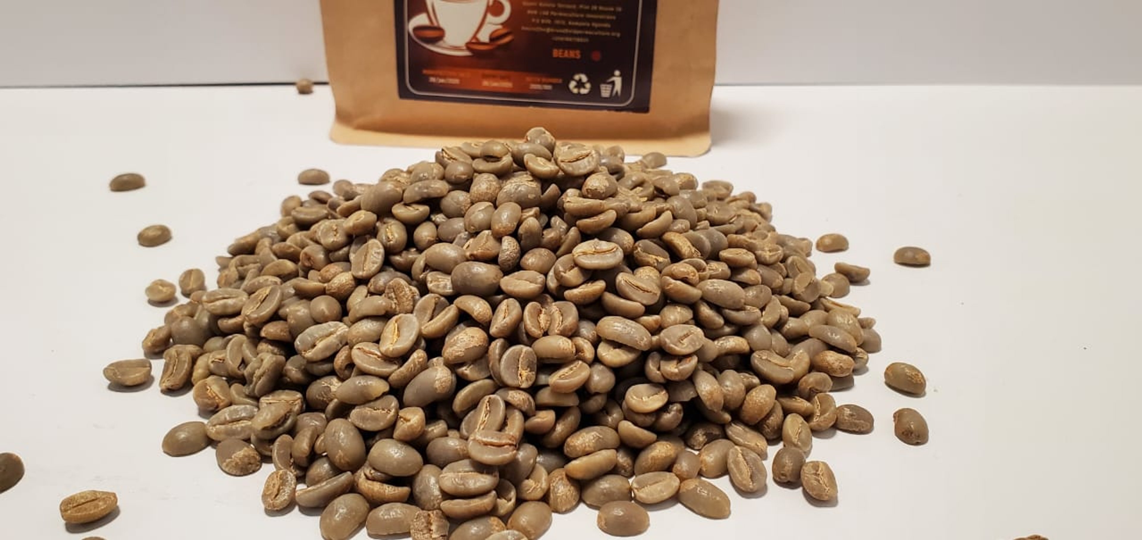 Bergmann Coffee Roastery – Foto