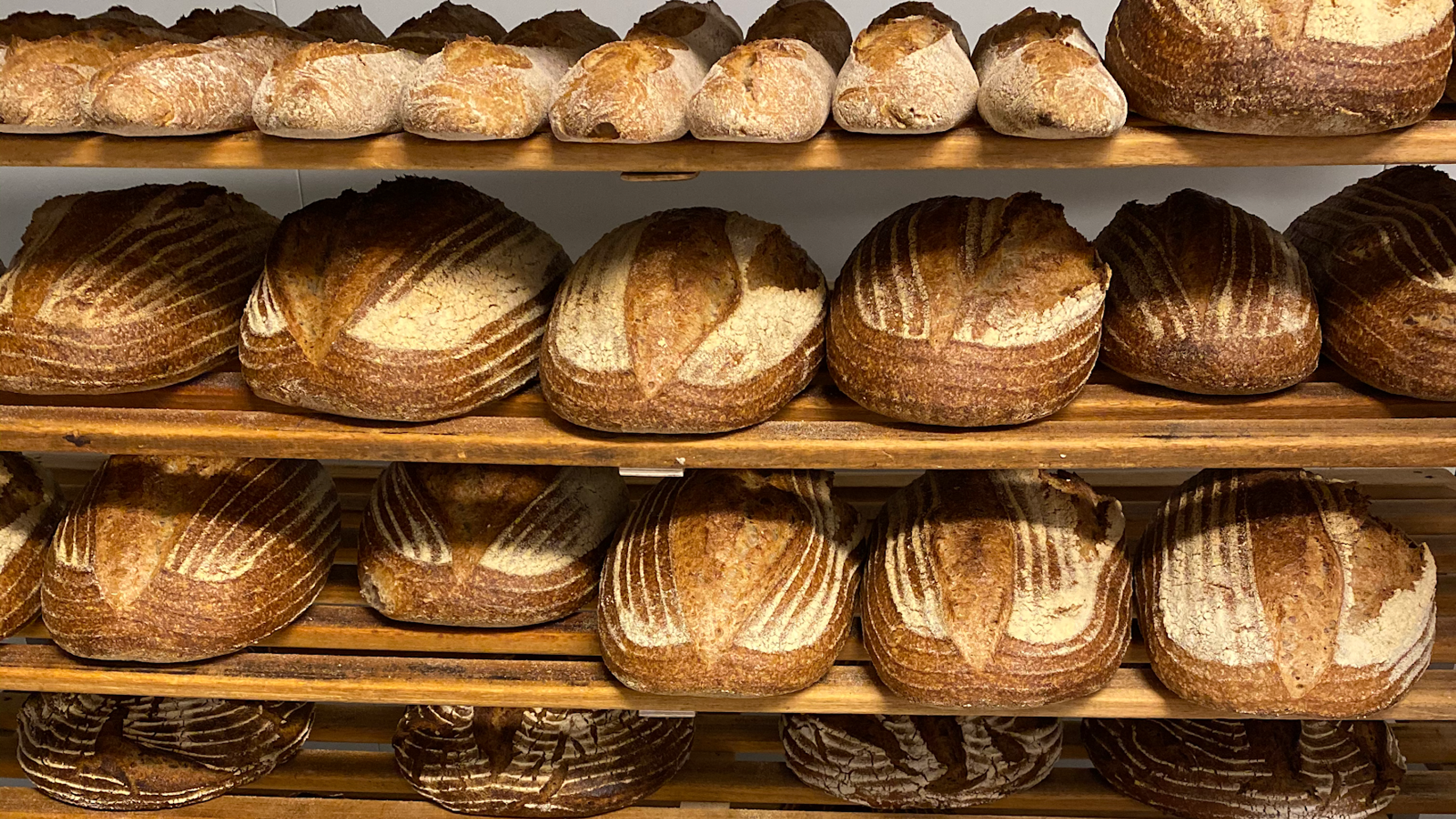 Gorilla Bäckerei – Gericht