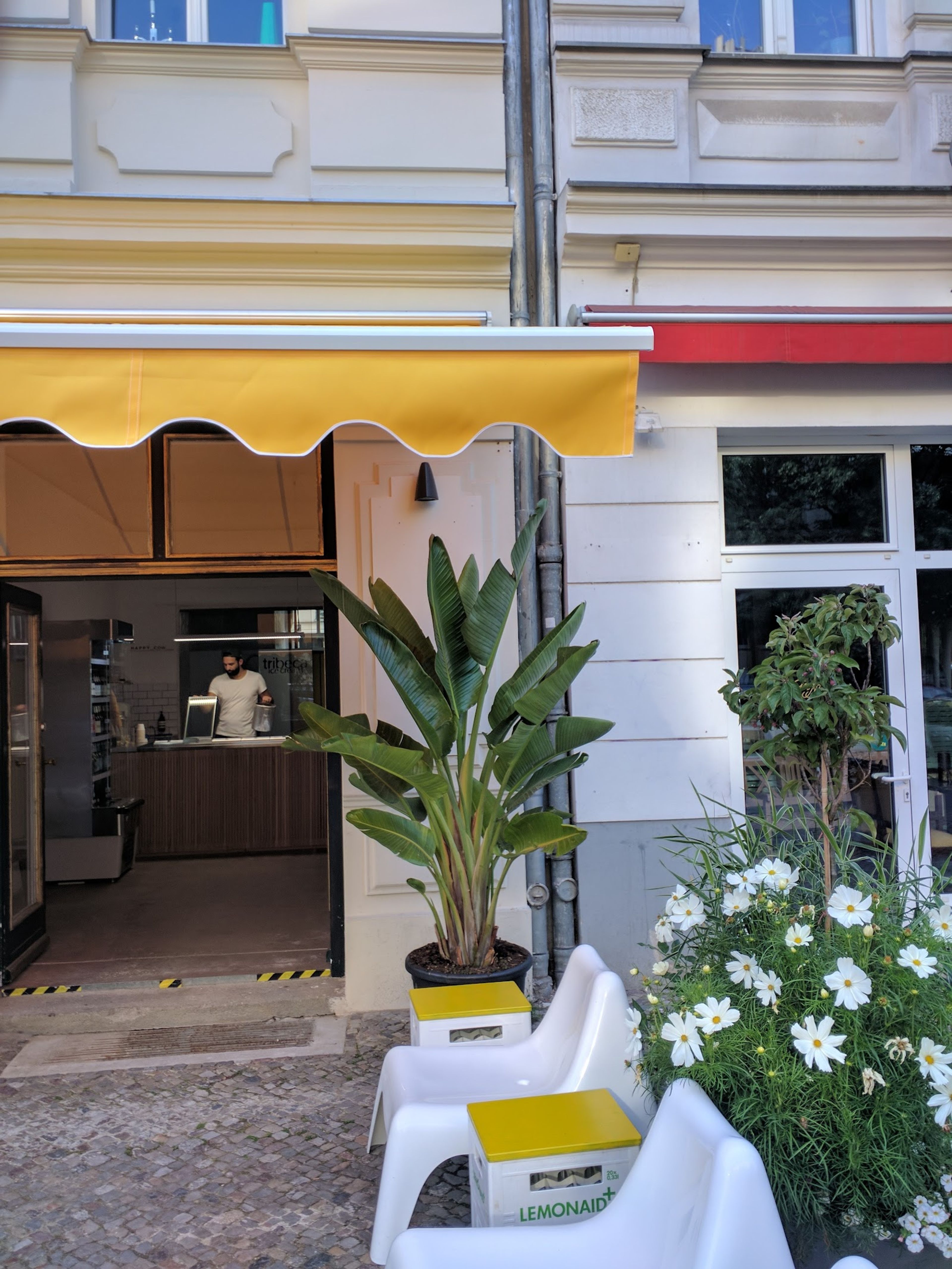 Tribeca Ice Cream Prenzlauer Berg