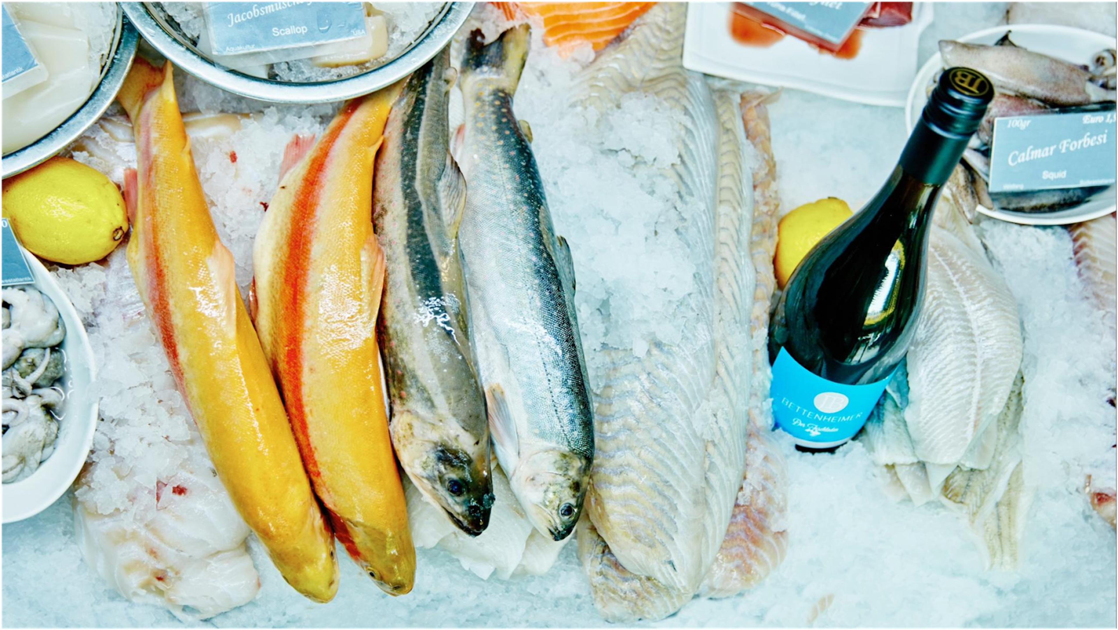 Der Fischladen – Gericht