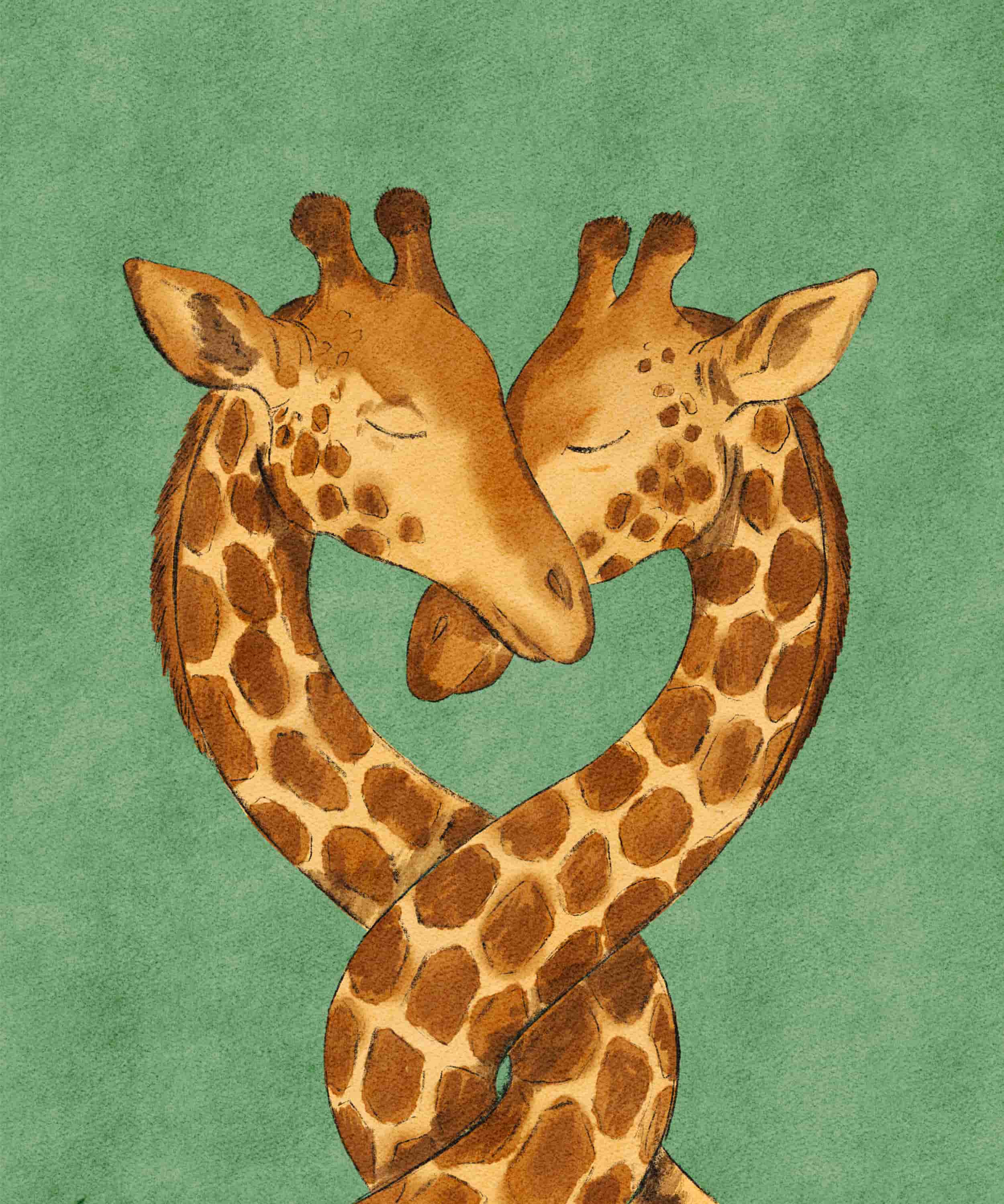 To giraffer