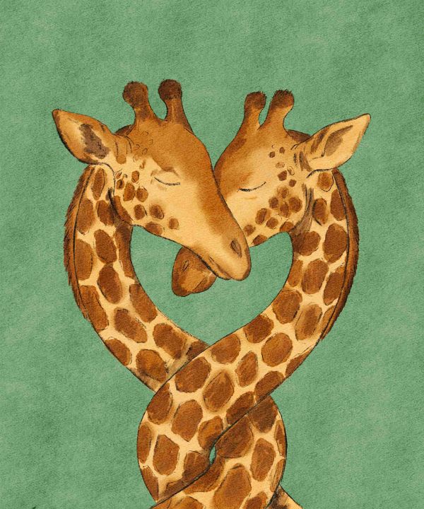 To giraffer