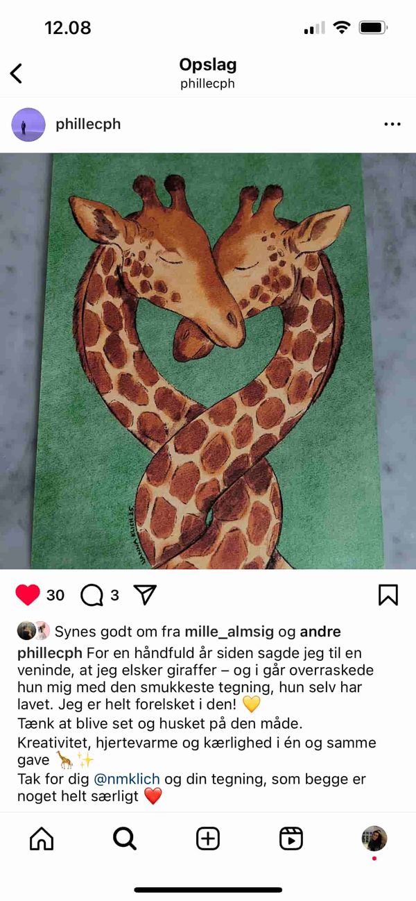 To giraffer
