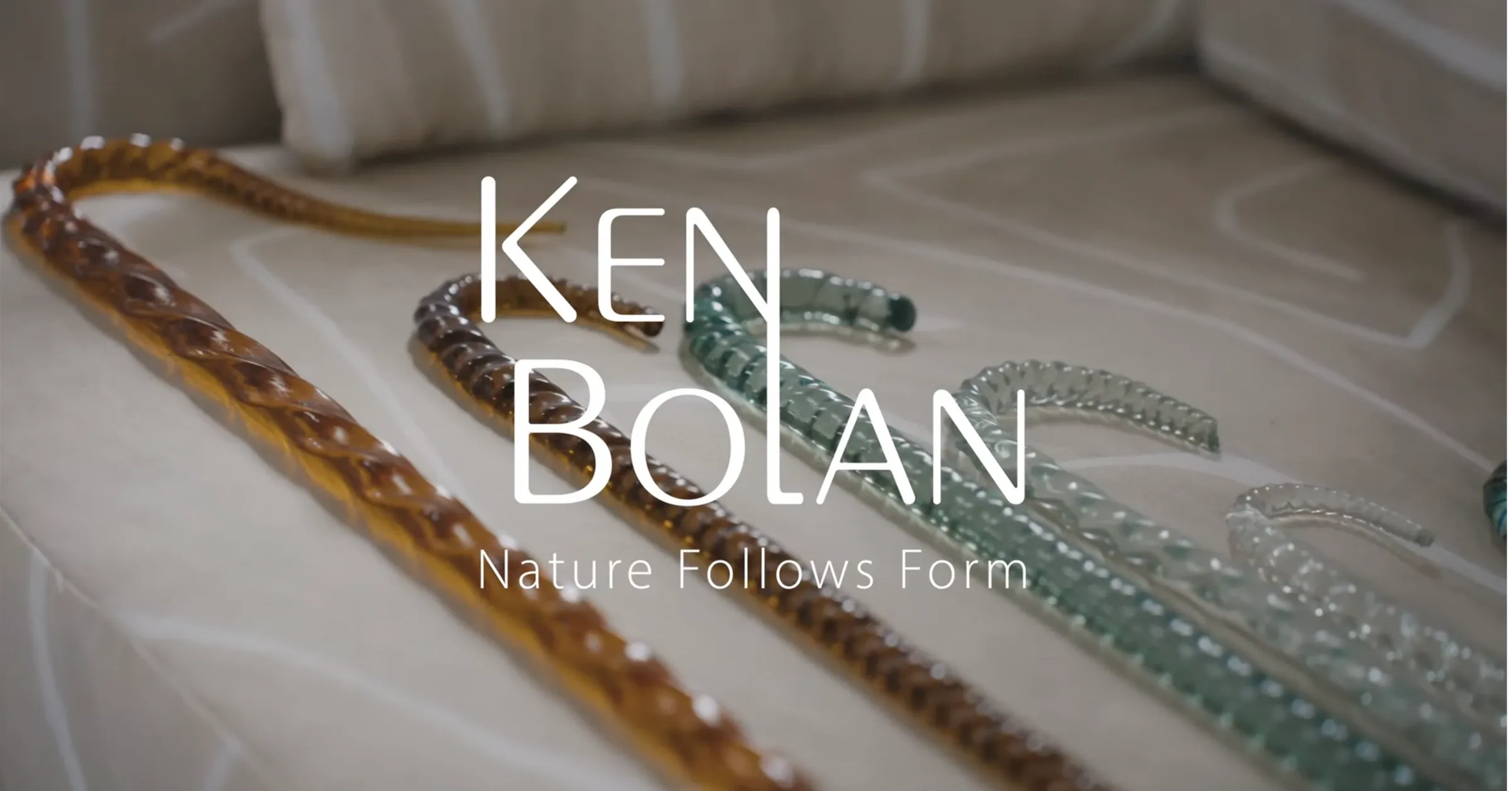 A still from the Ken Bolan corporate advert.