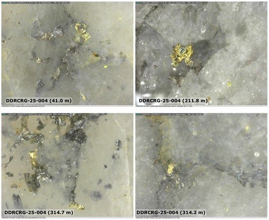 Sitka Gold: Über 300 Meter durchgehende Goldvererzung und überall sichtbares Gold!