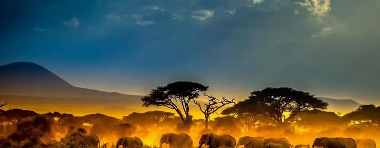 Lake Victoria Gold: Bis 97% Goldausbeute – einfache Aufbereitung für Imwelo-Erz bestätigt!