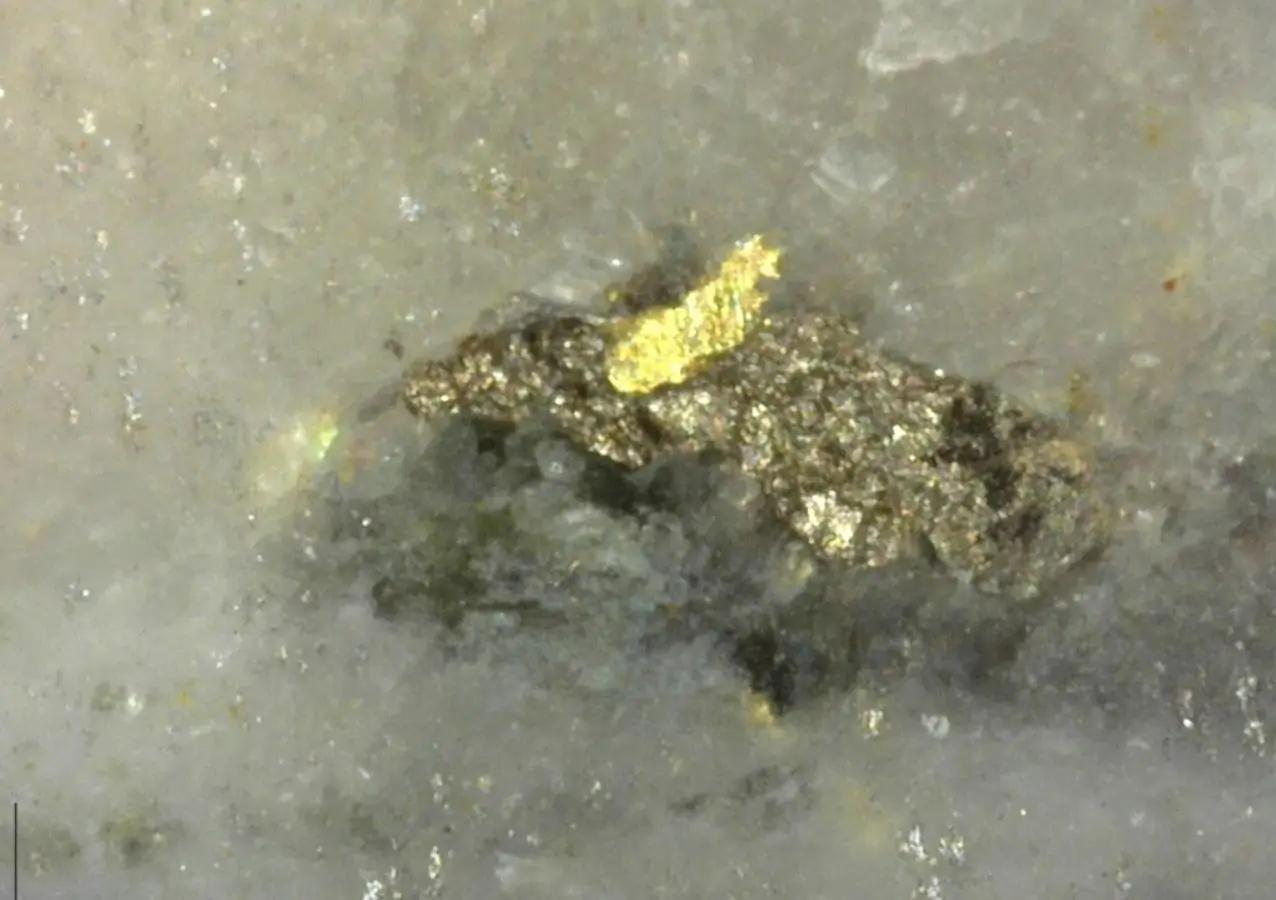 Überragende Effizienz: Sitka Gold’s Yukon-Erfolgsgeschichte in Zahlen!