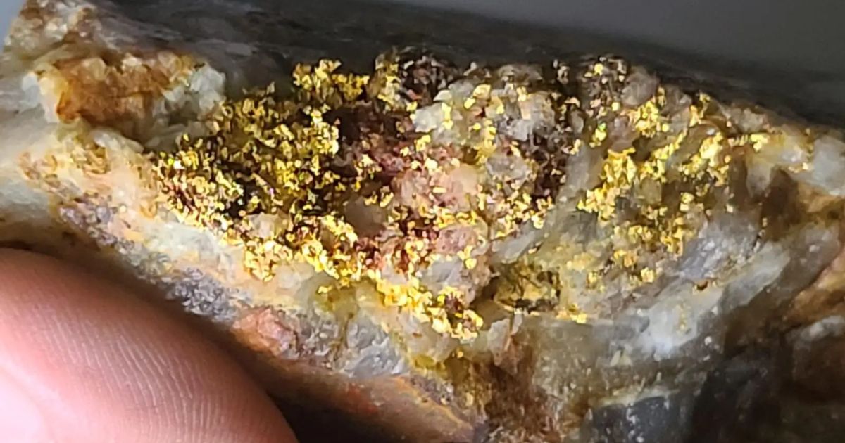 Sranan Gold reports up to 26.7 g/t gold from the Tapanahony Project in ...