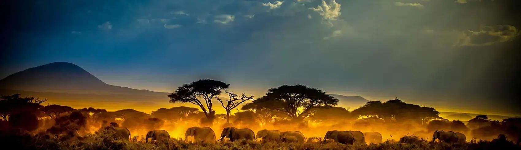 Lake Victoria Gold: Bis zu 35,45 g/t Gold in Bodenproben vom Tembo-Projekt