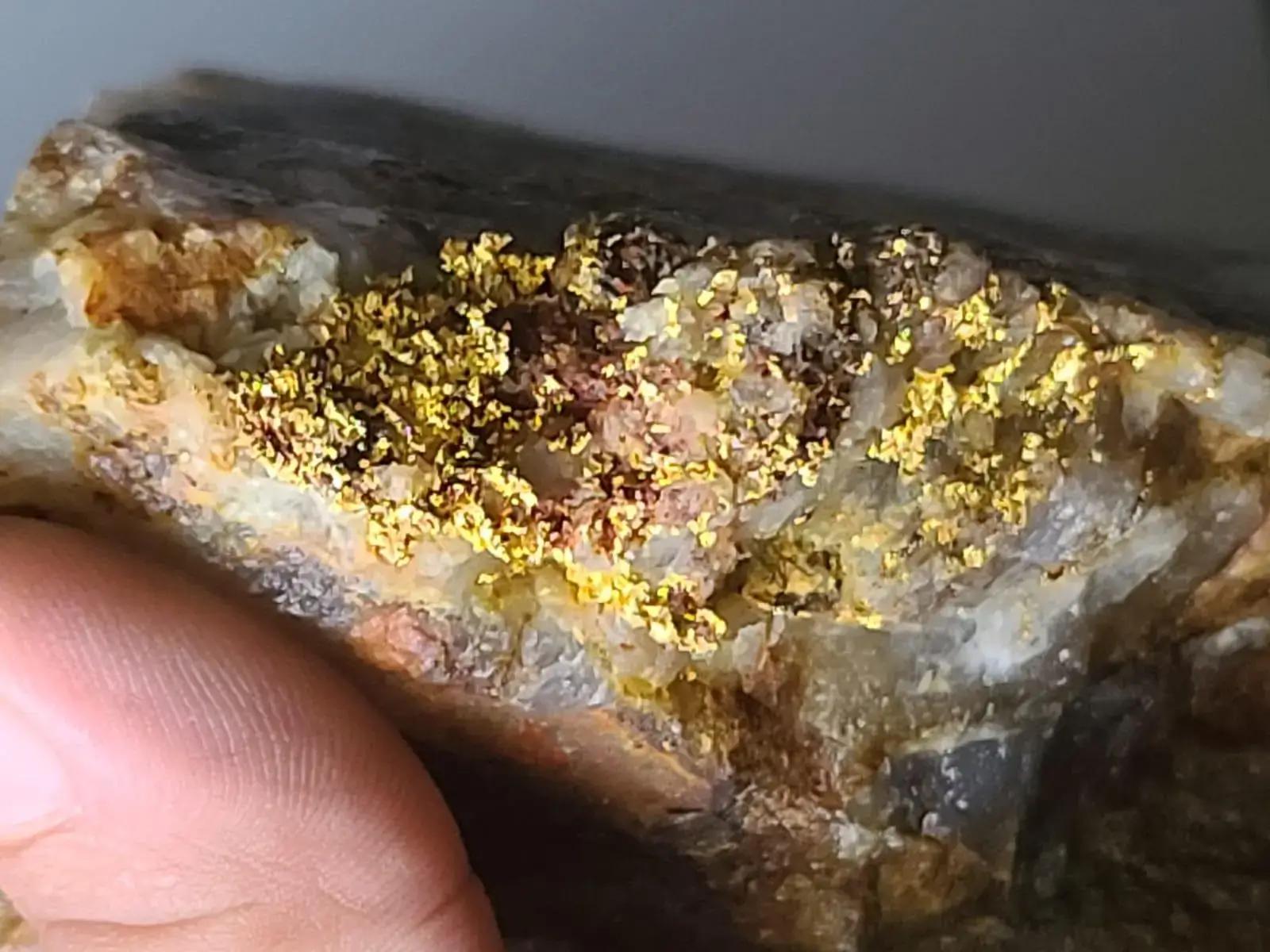 Sranan Gold legt nach: Randy’s Pit wächst um 200 Meter – 20 m mit 1,33 g/t Gold!