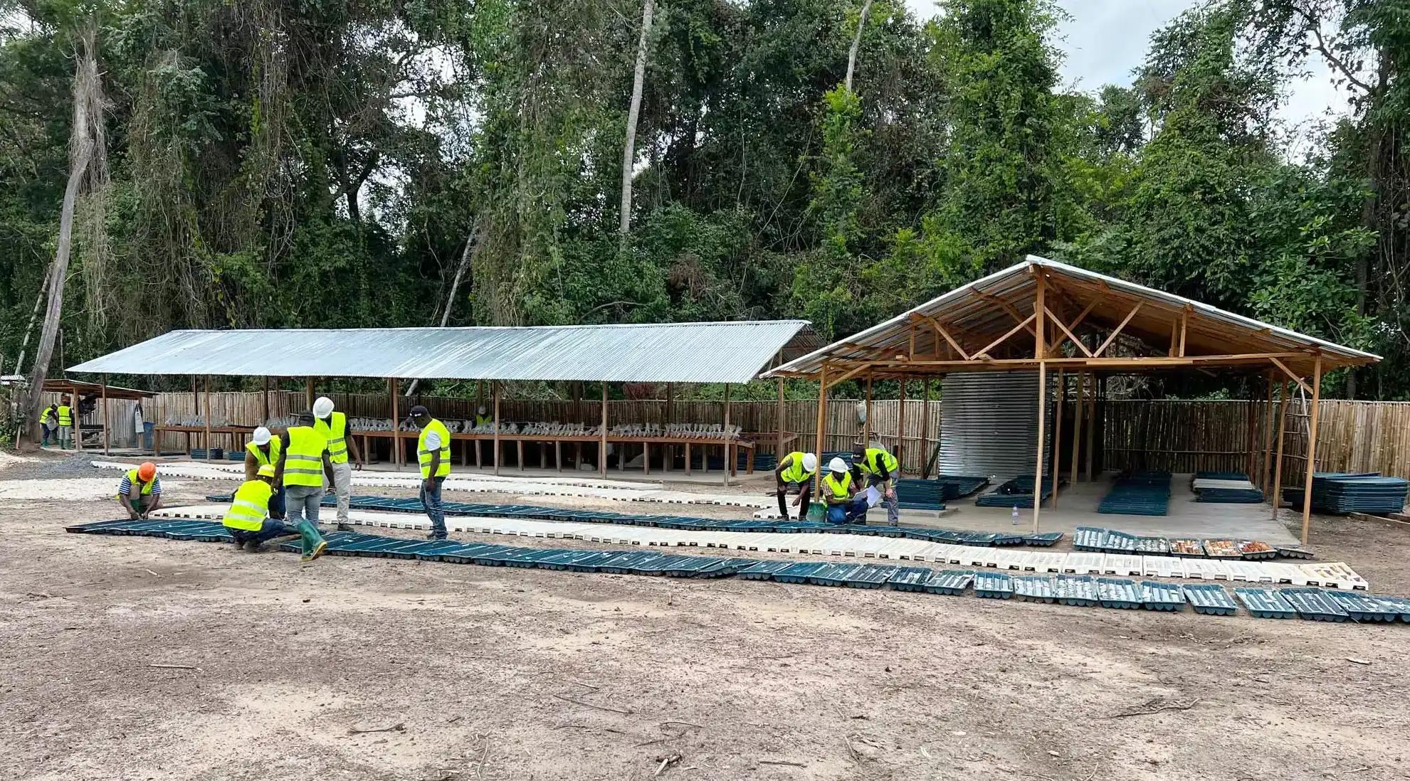 Zodiac Gold holt Top-Geologen: Liberia-Goldprojekt soll nächste Stufe erreichen