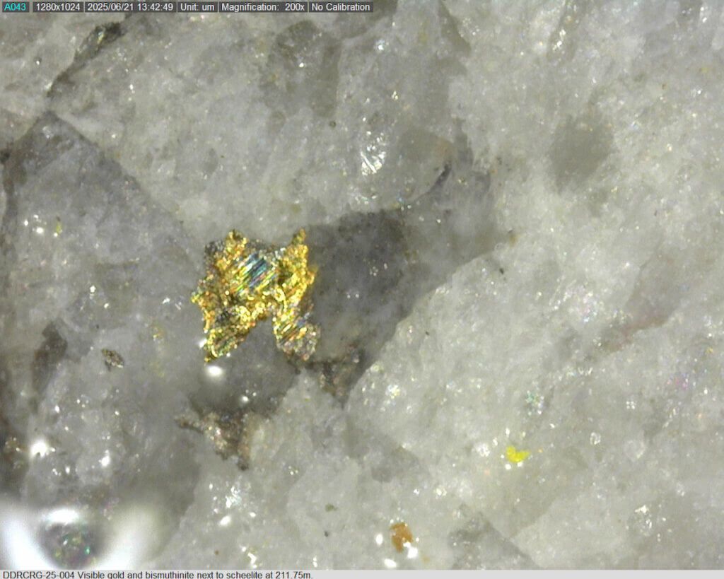 Sitka Gold: Analysten heben Kursziel um über 40% auf 1,70 CAD an