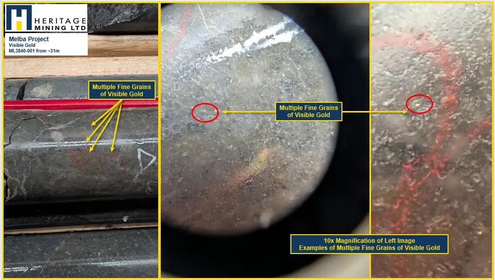 Heritage Mining: Schon viermal sichtbares Gold – neuer Fund nur 31 Meter tief!