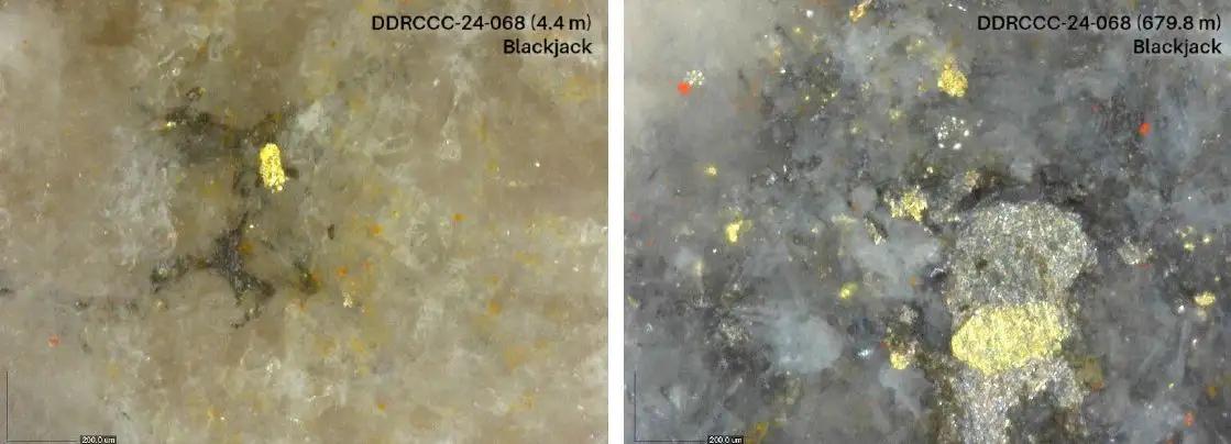Sitka Gold liefert auch 2024 reihenweise Bohrlöcher mit >100 Gramm/Meter Gold