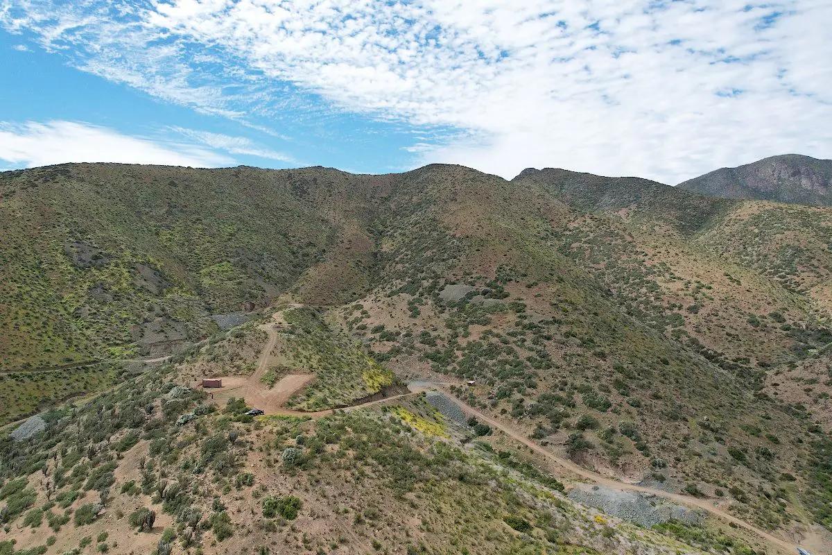 Altiplano Metals Inc.