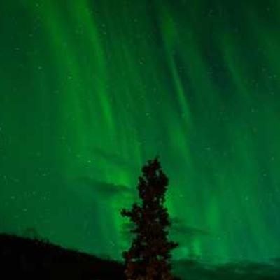 Serving the Pacific Northwestt image 1