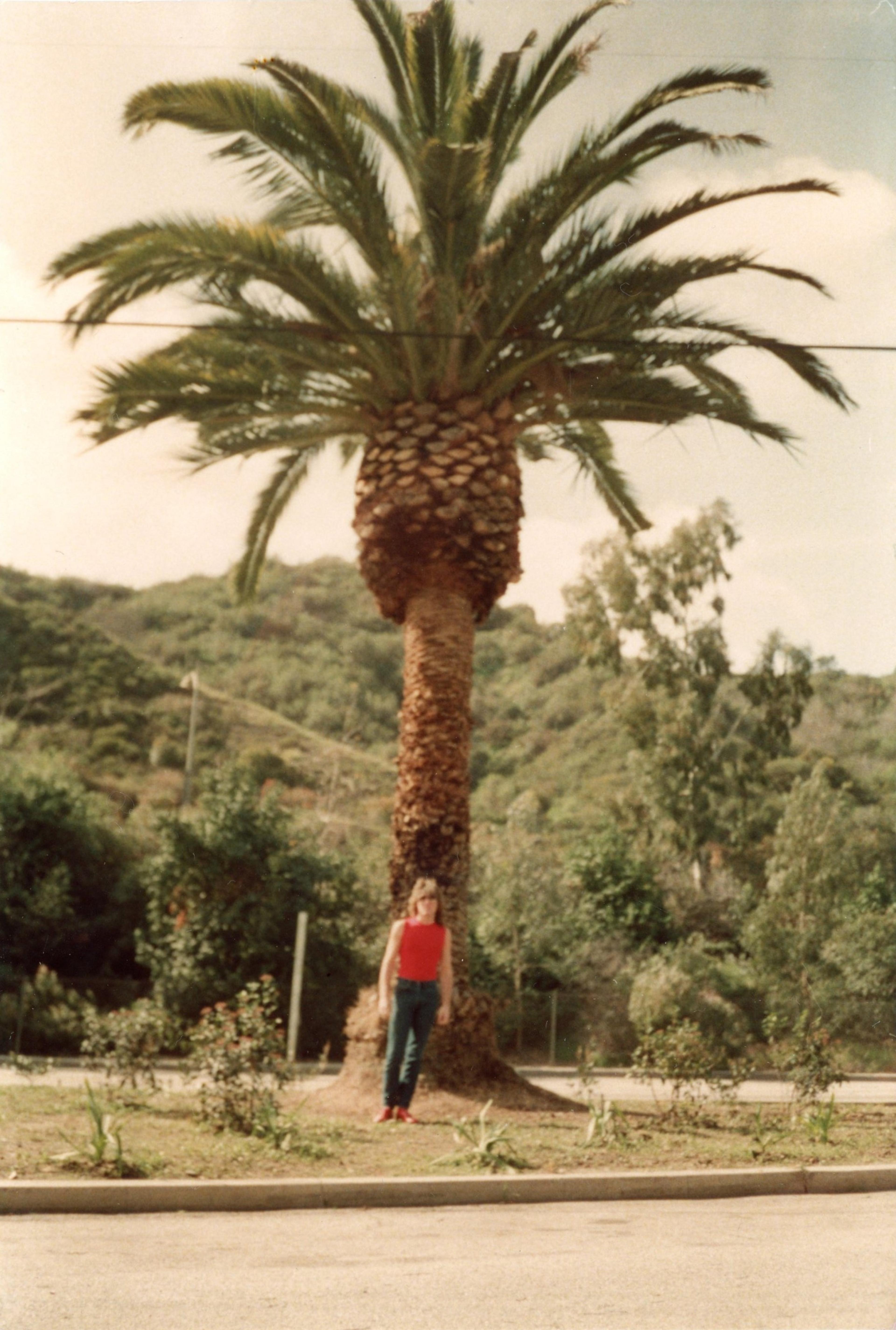 Scattered artefact image