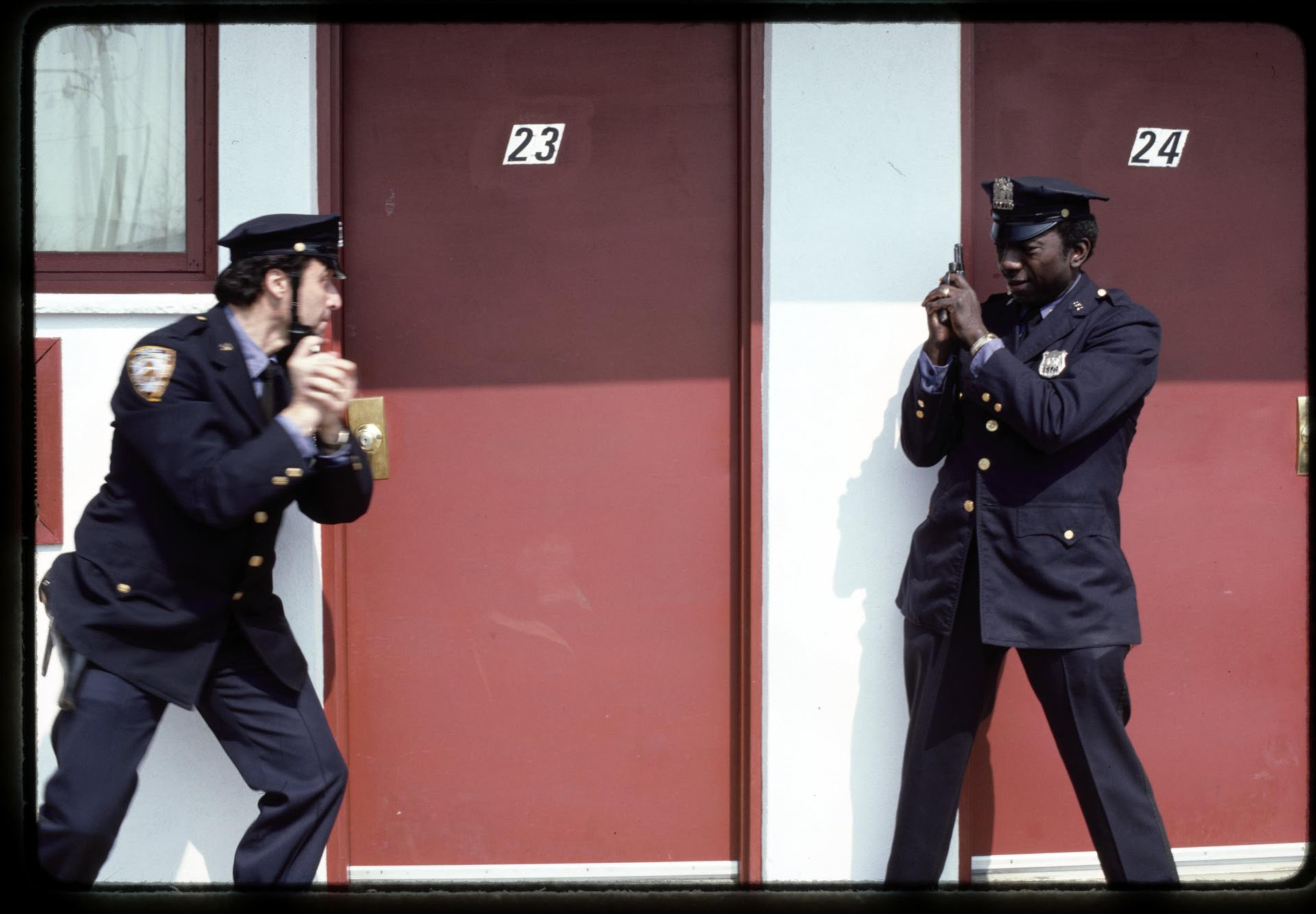 Large Carousel image