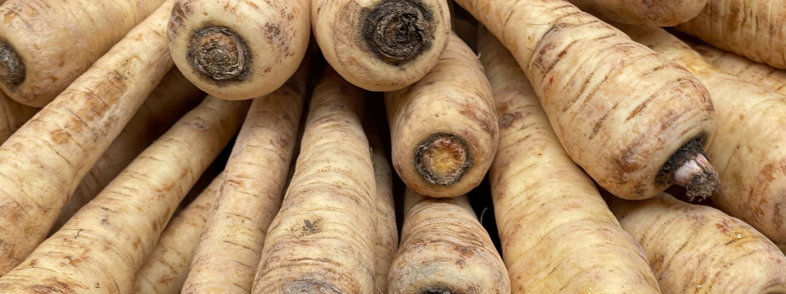 parsnip