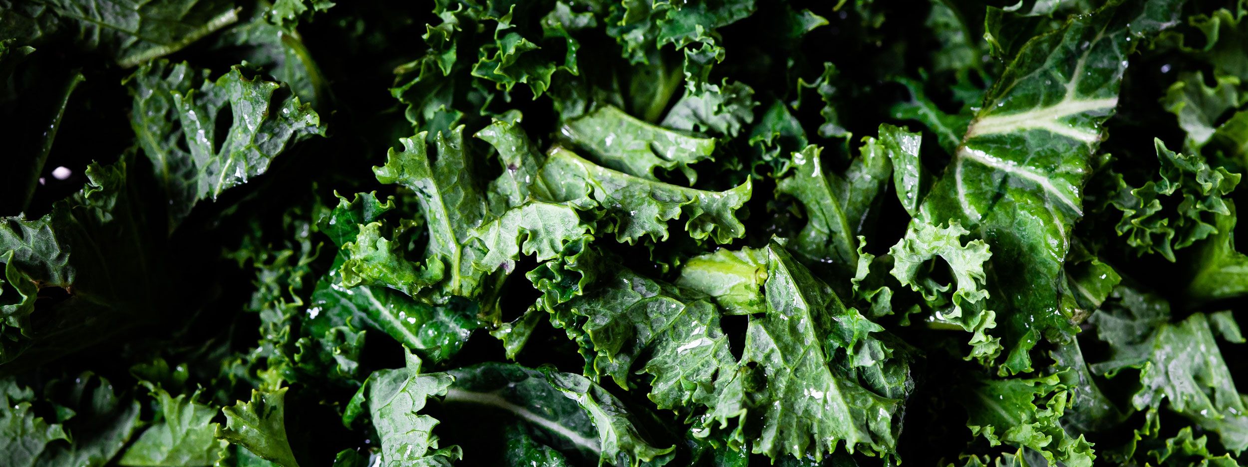 Staying Healthy During The Fall and Winter – Tips for the Cold Months