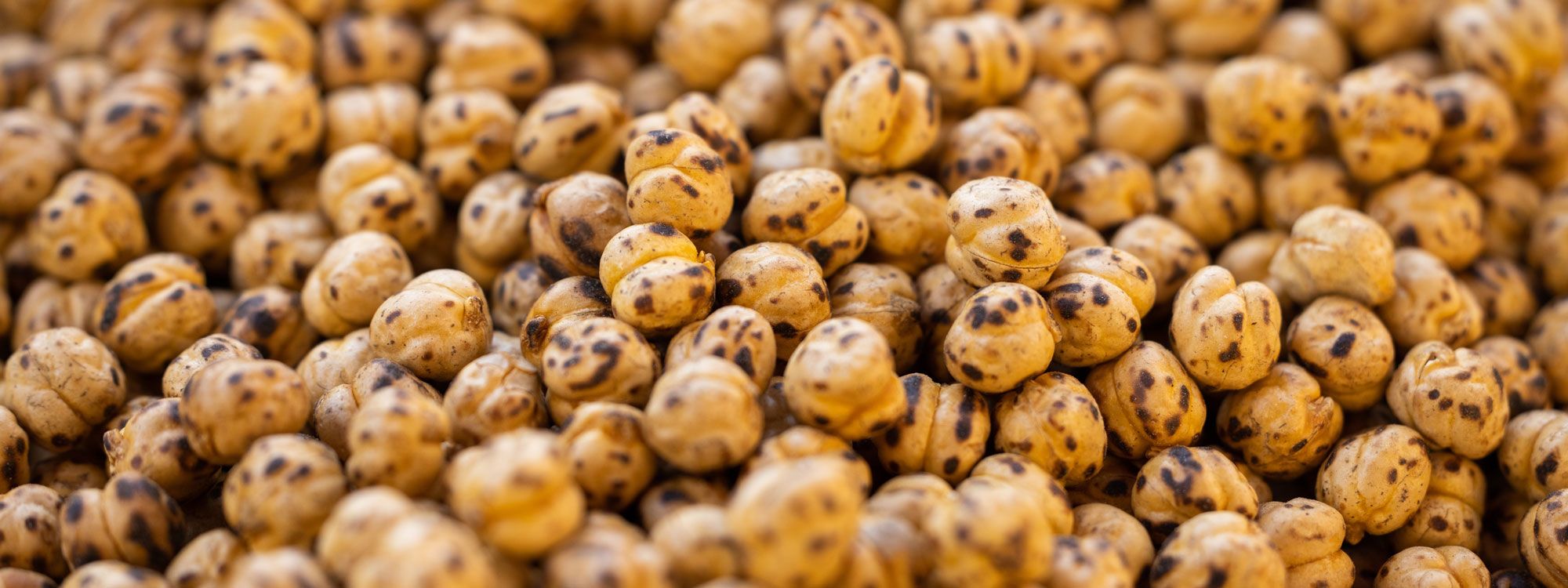 chickpea