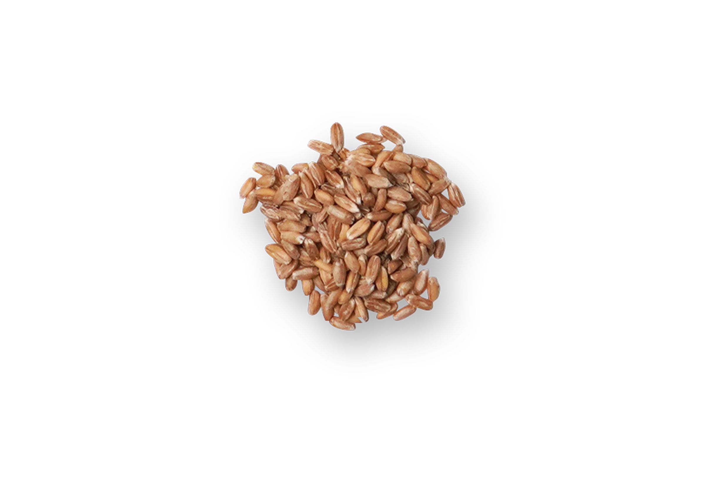 spelt