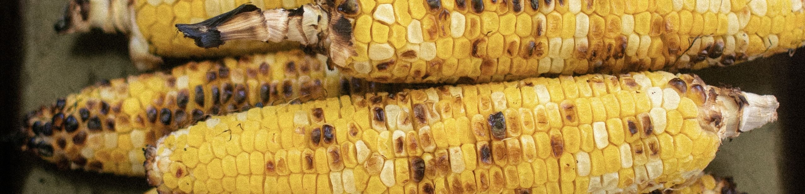 Vrienden die samen buiten van een maaltijd genieten in de zomer.