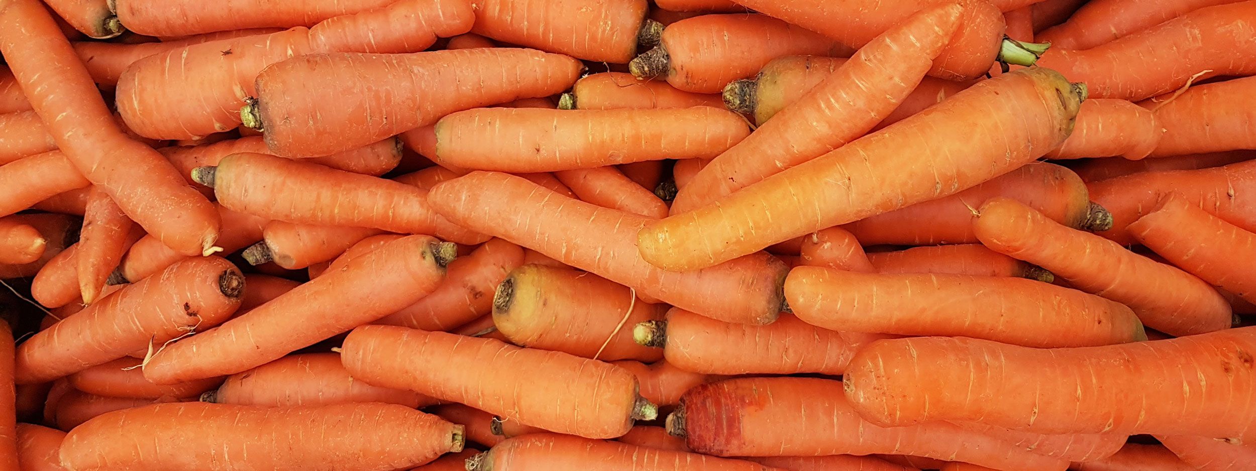 carrots
